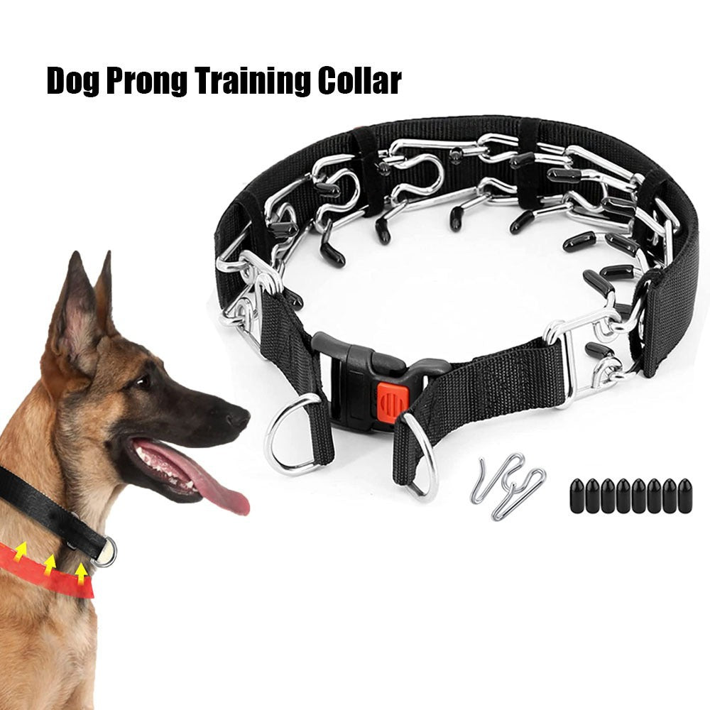 Detachable Dog Training Stimulation Leash