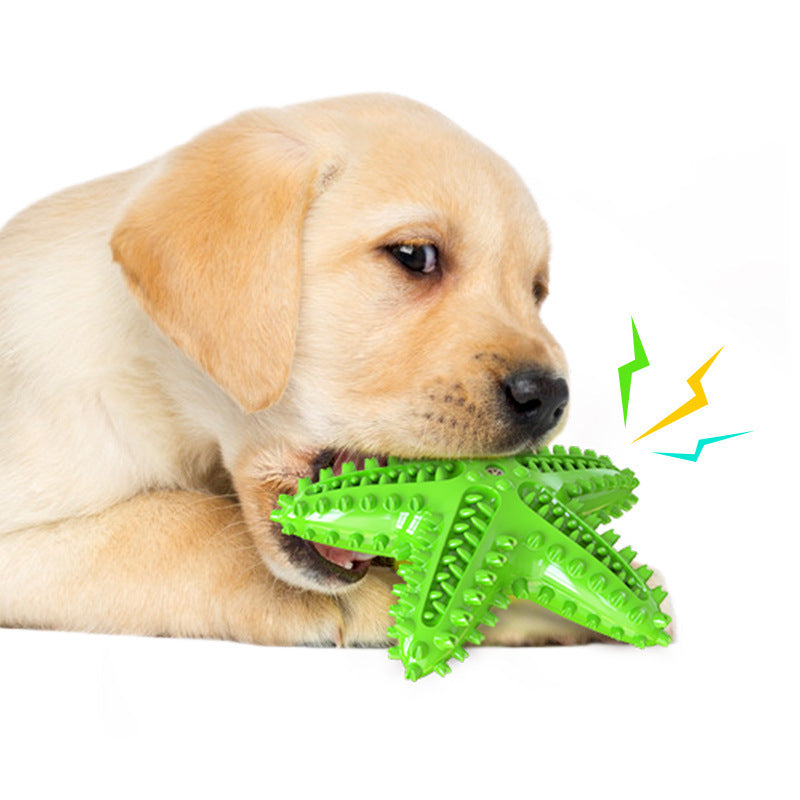 Pet Dental Chew Toy
