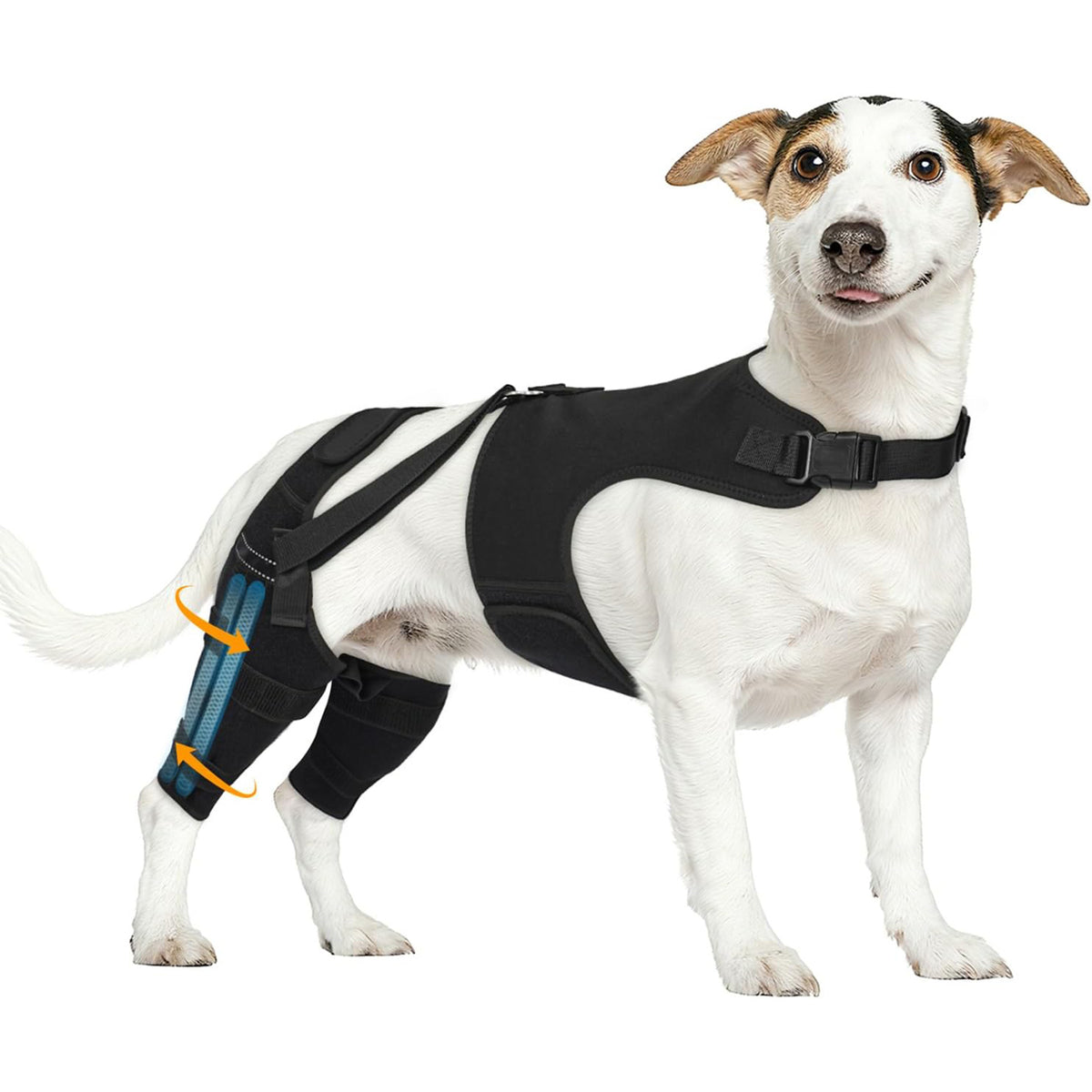 Adjustable Dog Leg Support Brace