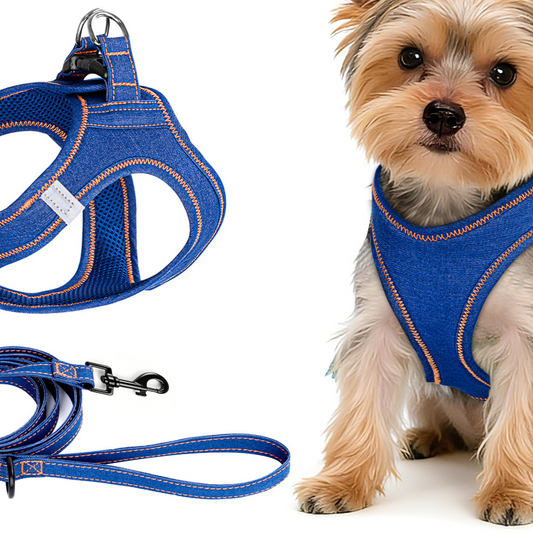 dog leash