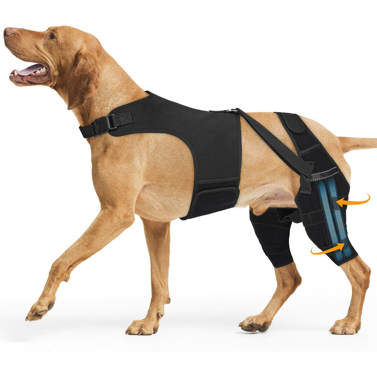 Adjustable Dog Leg Support Brace