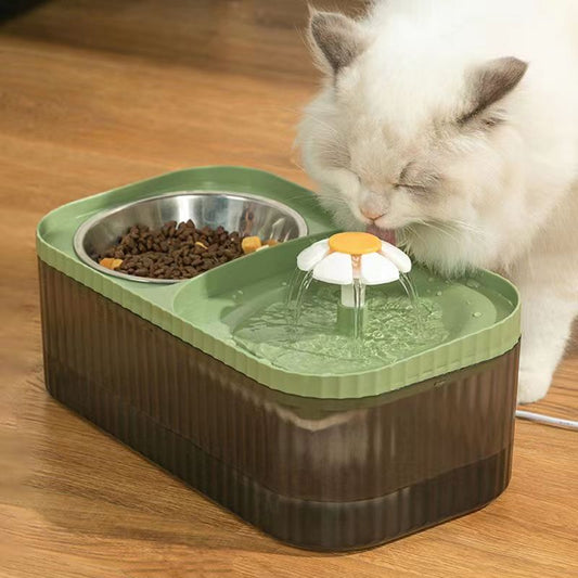 Automatic Pet Water Dispenser with Food Bowl