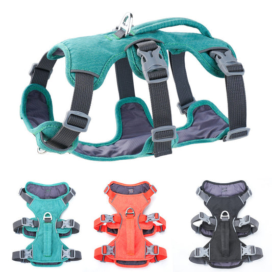 Small-sized dogs on the chest and back area