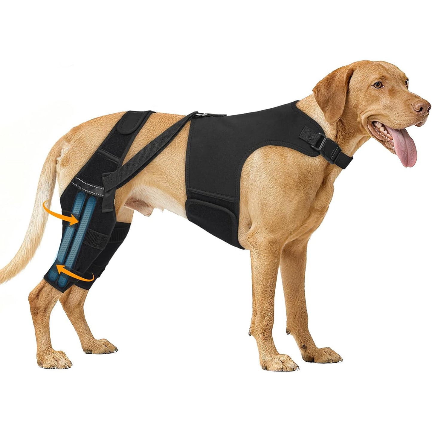 Adjustable Dog Leg Support Brace