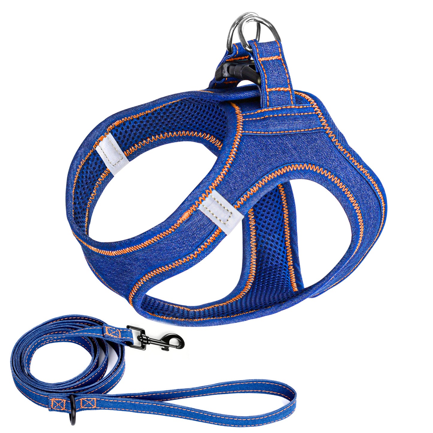 dog leash