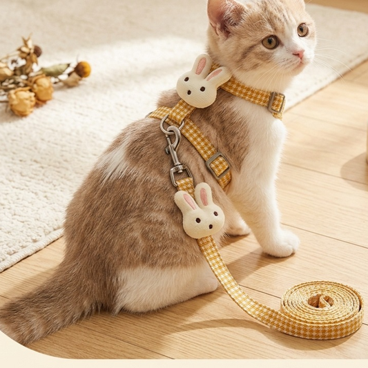 Pet Leash Harness