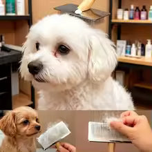 Dog Comb Solid Wood Dog Brush Pet Hair Remover Massage Cat Brush Pet Grooming Stainless Steel Combs for Cats Hair Knot Opening