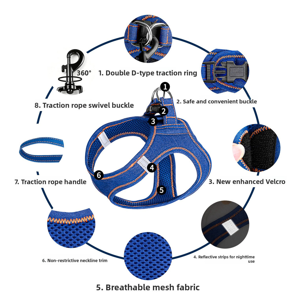dog leash